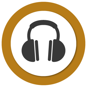 amp-icon